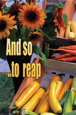 And so to Reap