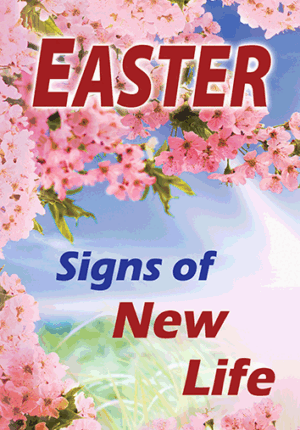 Easter Signs of New Life