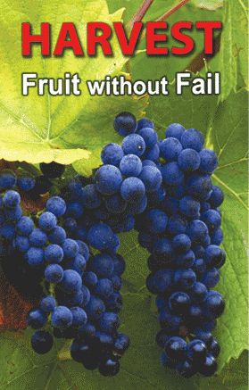 Harvest Fruit Without Fail