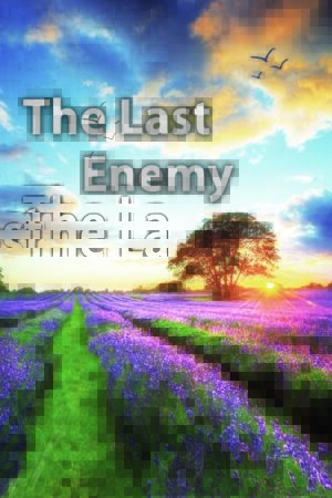 The Last Enemy