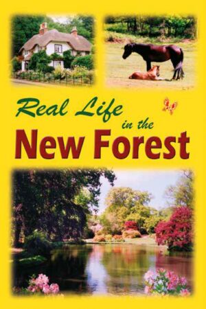 Real Life in the New Forest