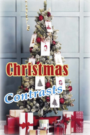 Christmas Contrasts